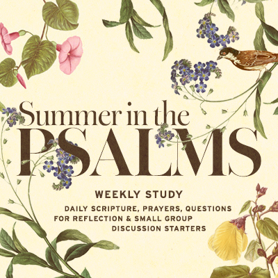 PROV_Summer_In_The_Psalms_series_PROGRAM_IMAGE_WEEKLY_STUDY_v1a
