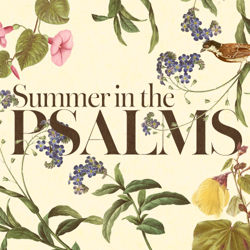 PROV_Summer_In_The_Psalms_series_WEBSITE_IMAGE_v1a